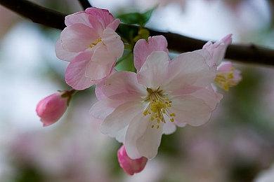 《时空错乱之旅》结束EA正式发售，75折特别好评热卖中